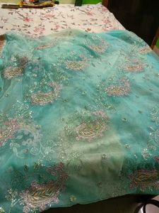 Very Beautiful Net Embroidery Saree Blousepetticot