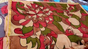 Traditional Look Saree
