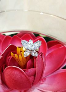 (₹99)AD Butterfly Ring