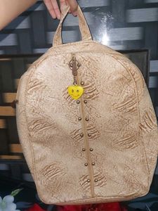 Picnic Bagpack