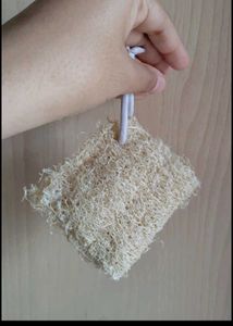 Natural Loofah Sponges