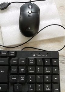 Keyboard &amp; Mouse  🖱️⌨️