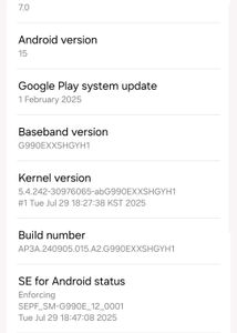 Samsung S21 Fe 256gb Storage- Backdoor Small CRACK