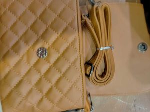 Gucci And Eviour Brand Bag