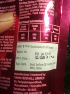 Best Quality Fish Food