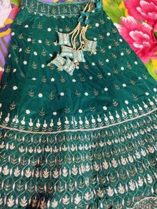 Beautiful Mehendi Lehenga 💚