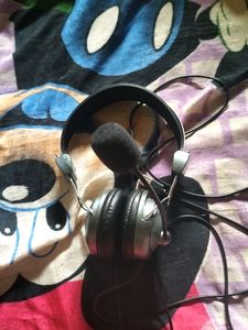 Zebronic Headphones with Microphone