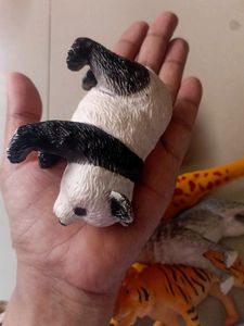 Animals