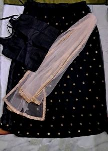 Semi - Stitched Lehenga Choli Set