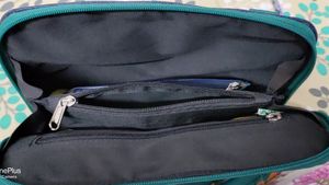 Baggit Handbag