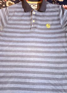 Striped Polo T-Shirt 👕 For Men
