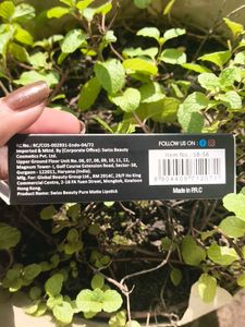 Swiss Beauty Pure Matte Lipstick