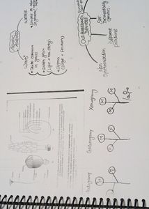 KV EDUCATION NOTES PRINT OUT