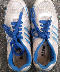 Sports Shoe