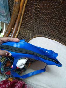 Ladies Sling Bag