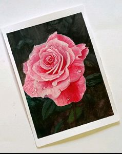 A Handmade Painting Of Pink Rose