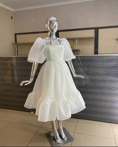 Organza Dress Material One Piece Frock