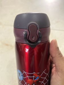 Spiderman Insulted Water Bottle - Random Colours
