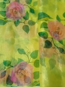 Pure Organza Saree