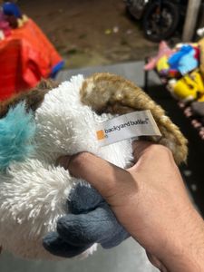 Backyard Buddies Plush Toy (Imported)