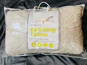 Imported 100% Cotton Anti Allergy Pillow