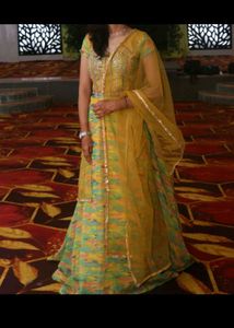Organza Lehnga Choli/ Traditional/Ethnic