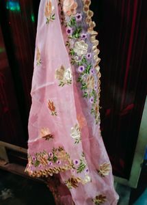 Dupatta Net
