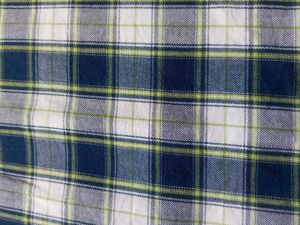 Checkered 💙Shirt