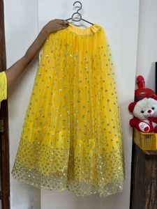 Lehenga Choli / Wedding Outfit / Ethnic Wear