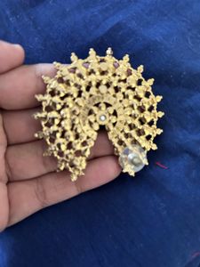 Fusion Kundan earnings