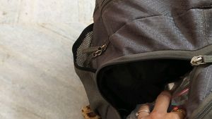 Sree Leathers