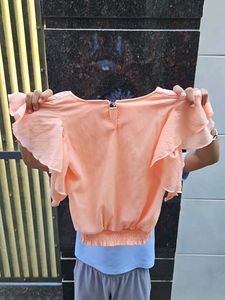 Peach Ruffle Sleeve Blouse