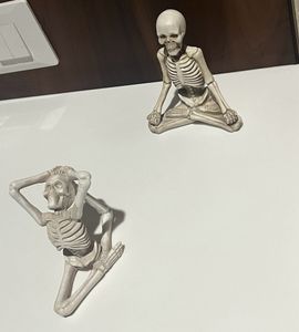 Skeletal Show Peices.