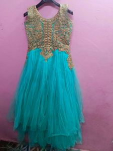 Elegant Ethnic Gown