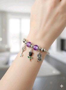 Set Of 2 Charm Pandora Bracelet With Beads