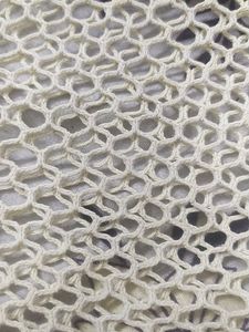 Beige Fishnet Crop Top