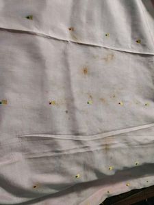 pure silk kanjeevaram Saree