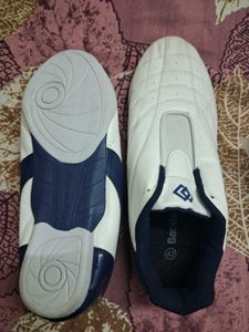 Taekwondo Daedo Met Shoes