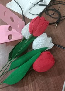Tulips And Daisy