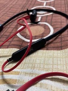Boat rockerzz headphones