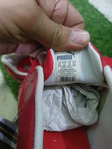 Puma Ferrari New Shoes