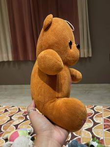 Cute Plush Teddy Bear