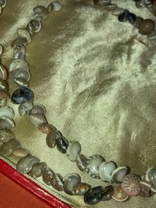 seashell necklace🫧🐚🌊🧜🏻‍♀️