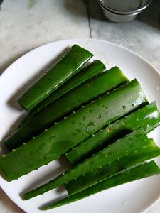 Fresh Aloevera Leaves