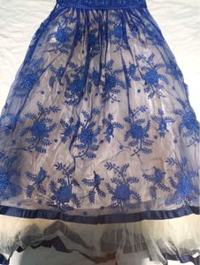 Elegant Blue Ethnic Gown