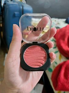 Plum Blush Shade 123 One In A Melon