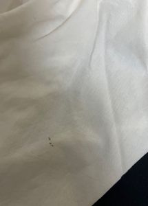 plain white patiala salwar