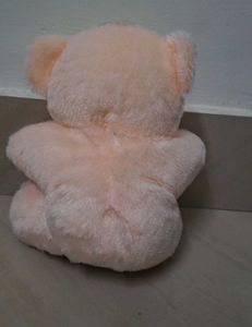 Cute Teddy Bear
