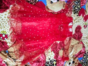 Pari Frock
