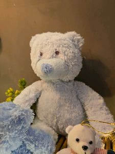 Cute Teddy Bear Trio